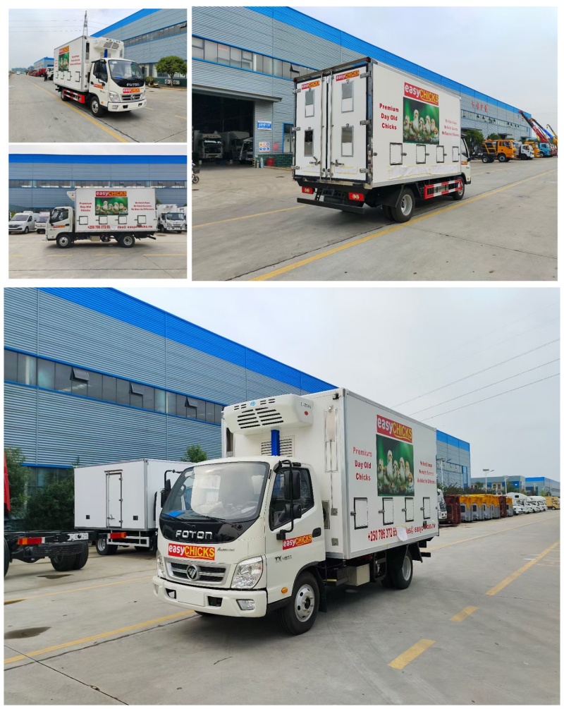 foton brand day old chicks truck_副本